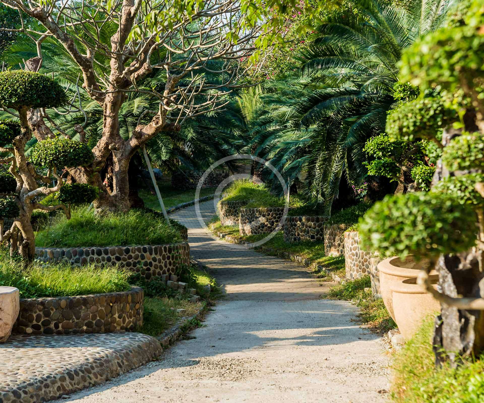 Tranquil path